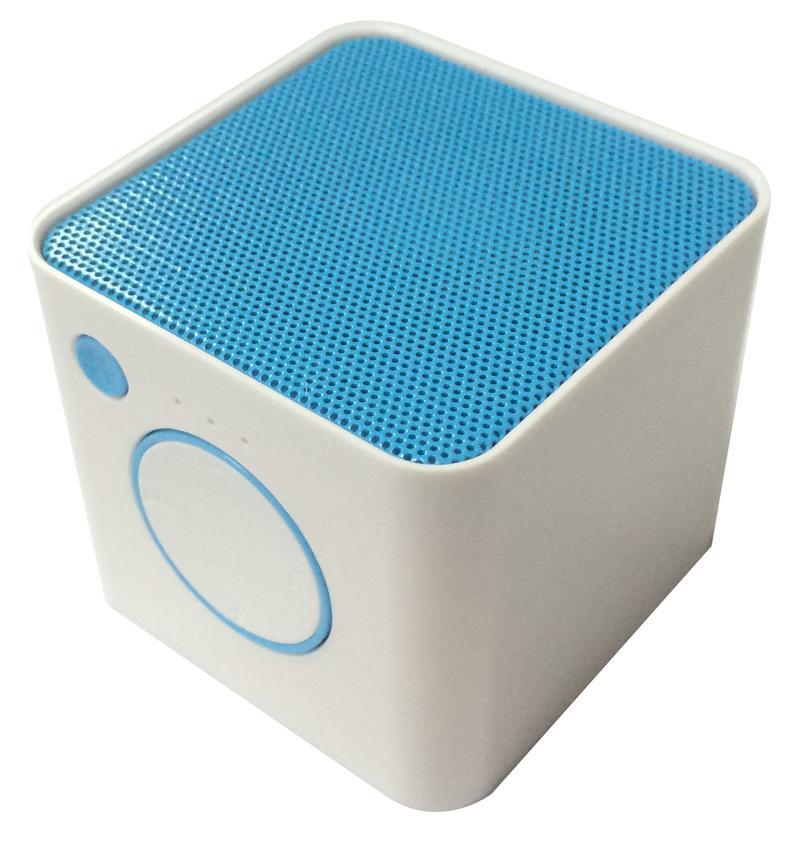 Speaker